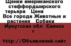 Щенки американского стаффордширского терьера › Цена ­ 20 000 - Все города Животные и растения » Собаки   . Иркутская обл.,Саянск г.